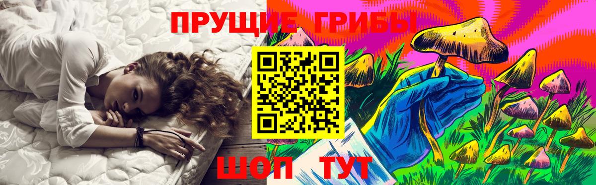 Томск  Галлюциногенные грибы MAGIC MUSHROOMS  Вход с VPN 