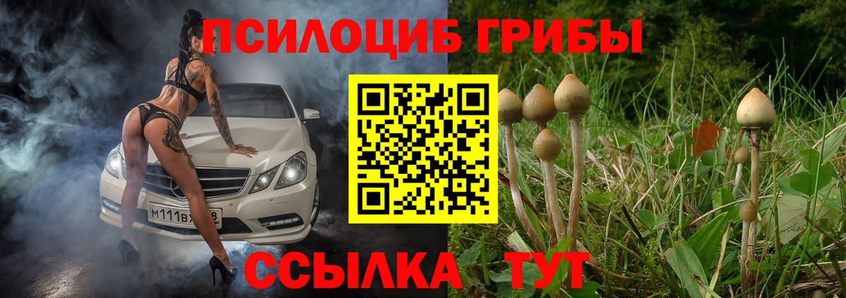 Псилоцибиновые грибы мицелий Томск